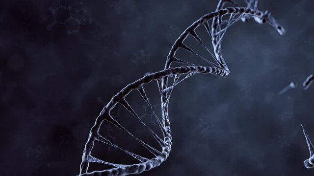 DNA double helix. 3D animation of DNA construction from nucleotide molecules. Perfect to use as a background for science, biotechnology or genetics. Human DNA spiral. 3D rendering. Blue version. 4K