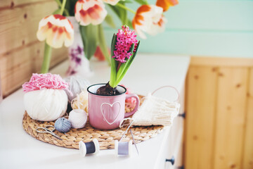 Working space for women. Knitting.Flower with pink hyacinth in a pot, balls of yarn, needles, scissors, a bouquet of tulips on the table. Women's hobby.