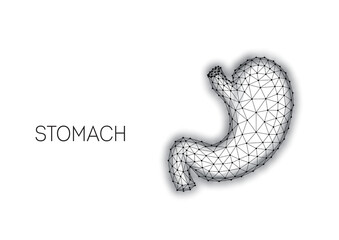 Polygonal anatomical human stomach made of black lines and dots isolated on white background.