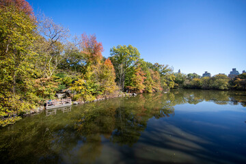 Trees reflect off the South Branch of the Lake in Central Park