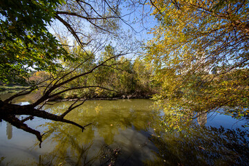 Trees reflect off the Lake in Central Park