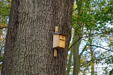 Vogel Nistkasten an einem dicken Baum im Wald, Umweltschutz, Naturschutz, Artenschutz