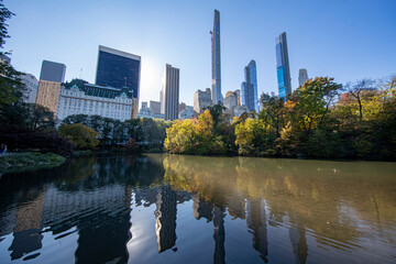 Fototapeta na wymiar Trees reflect off the Pond in Central Park