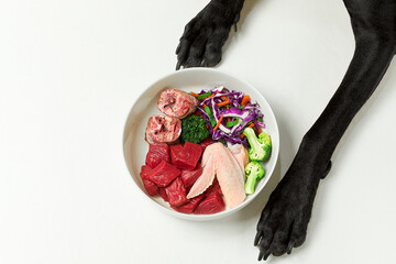 Bowl of natural dog food and black dog's paws over white background. Raw meat and vegetables. Feeding BARF diet.