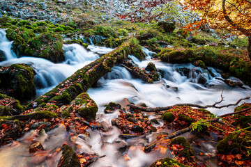 Wild river in the fall season , long exposure