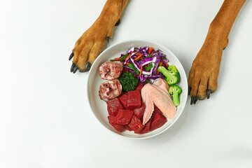 Natural fresh dog food in bowl and dog's paws on background. Raw meat and vegetables. Healthy feeding for dogs.