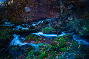 Wild river in the fall season , long exposure