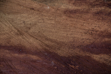 photo of tree texture, showing tree bark. wavy textures and strong colors. background for texts