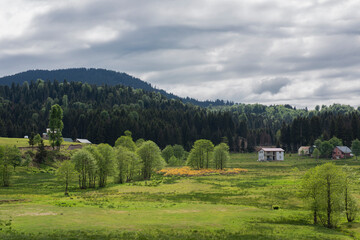 landscape in the mountains