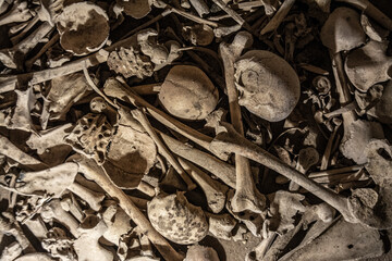 Group of human bones in the dark. Grupo de huesos humanos en la osucridad.