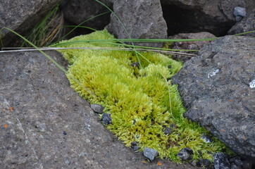 Iceland,  Ísafjörður, Isafjordur, Suðureyri, Sudureiri, Bolungarvik, Ósvör Maritime Museum, 
westfjords