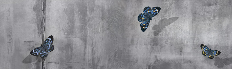 Obraz na płótnie Canvas Beautiful blue and yellow butterflies at concrete wall background. Free space for text. Banner format.