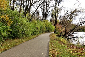 An asphalt road passes the autumn park, among the trees, near the lake