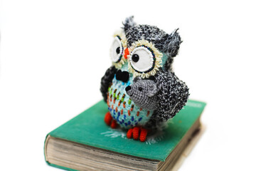 Handmade knitted toy. Amigurumi black owl toy holding mouse and sitting on the book  on the white background. Crochet stuffed animals. 