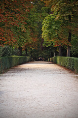 Path in the park in an autumn day