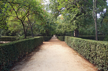 Path in the park in an autumn day