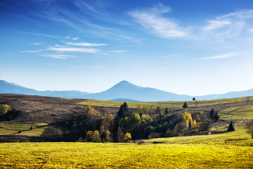 Picturesque autumn mountains with yellow grass and orange trees in the Carpathian mountains, Ukraine. Landscape photography