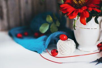  Crochet and knitting. A Red flower in a vase and branches of dog rose,  skeins, needles, scissors, knitwear, glasses on a white table in the cozy home. 