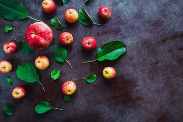 Ripe red small apples and leaves on dark table.  Autumn harvest. Pattern