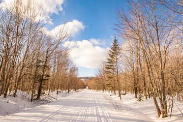 snowmobile road in winter