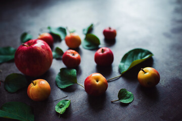 Ripe red small apples and leaves on dark table.  Autumn harvest. Pattern
