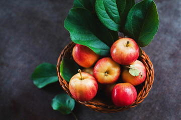 Ripe red small apples in the basket in  on dark table.  Autumn harvest. Macro