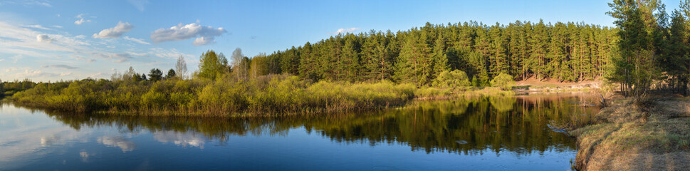 Fototapeta na wymiar Spring panorama of the protected forest river.