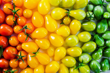 The harvest of tomatoes. Different color and varieties of tomatoes. Healthy and natural food. Pattern. Top view