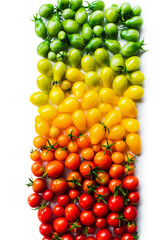 The harvest of tomatoes. Different color and varieties of tomatoes on a white background. Healthy...