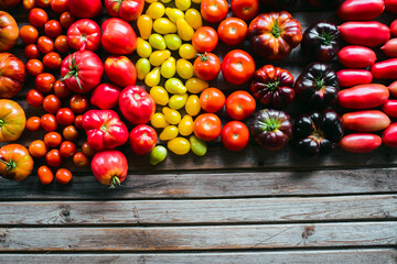 The harvest of vegetables. Different varieties of tomatoes
 are laid out on a wooden background....
