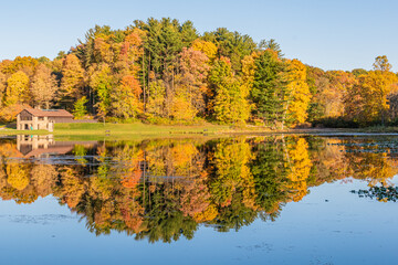 Beautiful golden fall foliage colors of trees in forest in autumn reflected on surface of lake on clear day