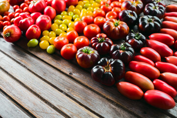 The harvest of vegetables. Different varieties of tomatoes
 are laid out on a wooden background....