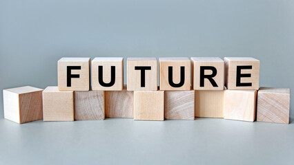 future, the inscription on wooden cubes on a white background