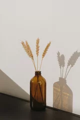 Fotobehang Scandinavisch Rye / wheat ear stalks in stylish bottle. Warm shadows on the wall. Silhouette in sun light. Minimal home interior decoration concept  © Floral Deco
