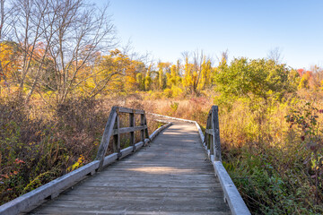 A wooden boardwalk crosses a marsh