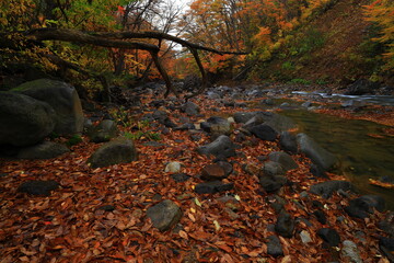 紅葉の松川渓流