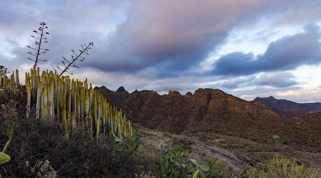 Valle con vistas a el Macizo de Anaga al atardecer.