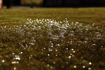 soap bubbles on the grass. selective focus.