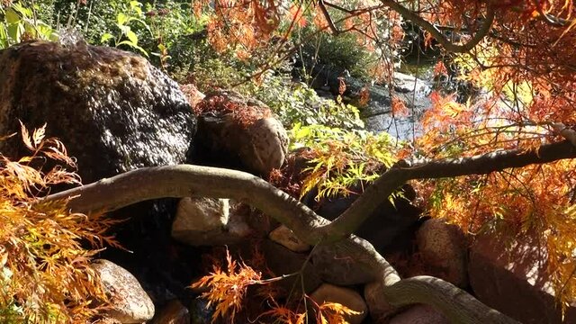 Wasser sprudelt aus einem Quellstein und fliest in einen Gartenteich