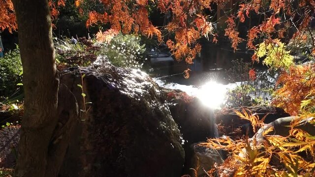 Wasser sprudelt aus einem Quellstein und fliesst in einen Gartenteich