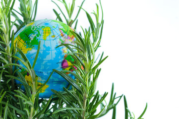 Fototapeta premium Globe, Earth in green grass. Copy space. Selective focus