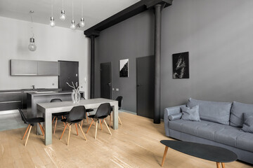 New designed apartment in gray