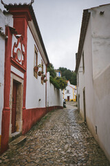 Streets Of Obidos 2