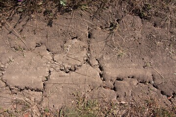 detail of countryside dirt road with deep cracks in soil, dry surface during a drought, hot sunny summer day without rain, human impact on nature