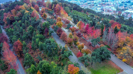 Estação de Outono com estradas e casas, vista aérea sobre uma vasta gama de cores.
