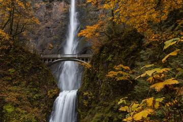 Fototapeta na wymiar Autumn at Multnomah Falls, Oregon