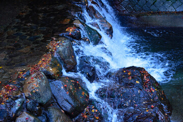 岩の上の落ち葉と渓流