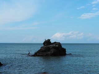 鵜が止まった海の巨岩