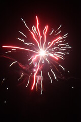Explosive Firework of Red and Gold