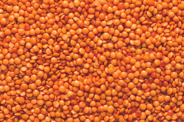 Dry red lentils seeds, food bright background